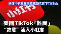 美国TikTok「难民」“故意”涌入小红书；网传中共高层示意马斯克将买下TikTok。2025.01.14NO2612#小红书#TikTok难民