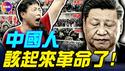 2025前11个月中国农村起义暴增70%！中共惧怕规模性返乡，推红黄蓝码统一管理返乡人员！#真观点 #真飞