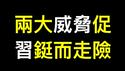 野村证券：狂热后崩盘！看守所人满为患，两大威胁促习急转弯⋯⋯