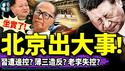 习近平被边控？“北京一男子”被警察带走视频火了！李嘉诚遭北京报复，薄熙来要闯出秦城？马仔面临团灭，习危了！（老北京茶馆/第1339集/2025/03/19）