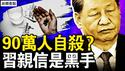 90万人想不开？各行业都等这事！习要求领导经济，川普决定再开战；章天亮被起诉，纽时诡异行动；原告曾被蓝黄金？幕后黑手是这人！【新闻看点 李沐阳11.26】