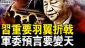 官宣陆军政委换人，习重要势力折戟；中国将要变天？中共军委发预言；再被关精神病院，李宜雪爷爷声明要人；漏洞百出的通报，南昌当局执法犯法，安定医院有多烂？寄望2025活动征稿【新闻看点 李沐阳12.23】