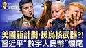 归还核武器，美支持乌克兰的新计划；马斯克要买下MSNBC？习近平“数字人民币”大烂尾（政论天下第1462集 20241124）天亮时分